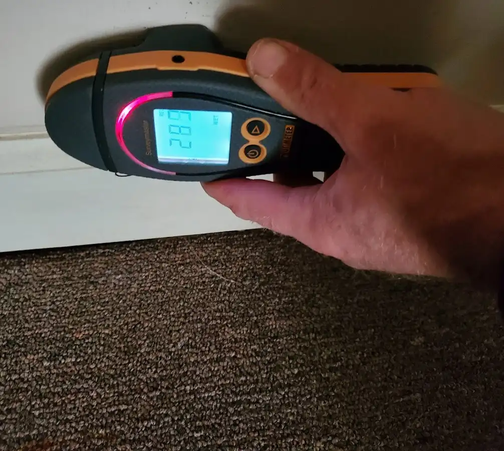 Moisture detection at baseboard during Mold Inspection & Testing in Mechanicsburg